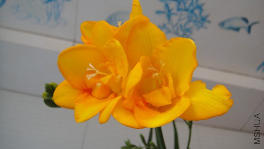 DSC09458.JPG