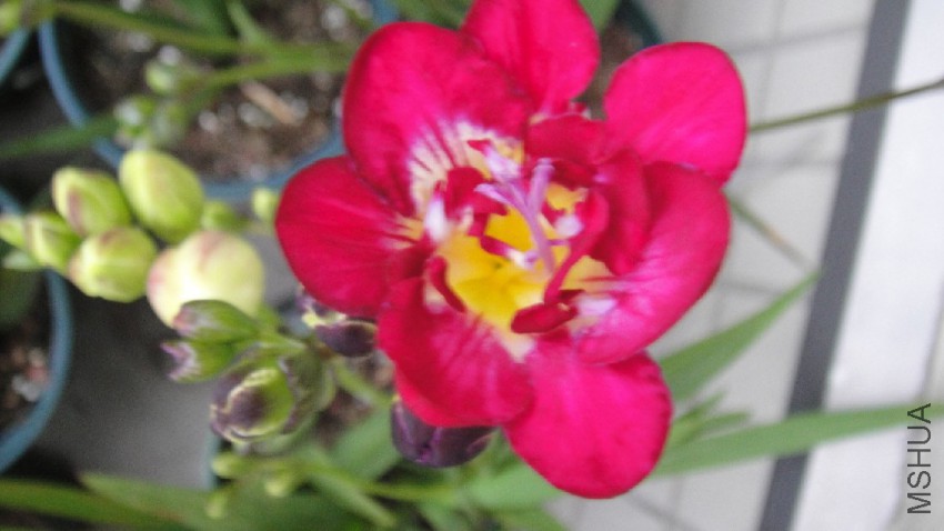 DSC09470.JPG