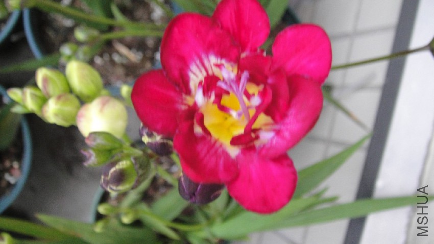 DSC09471.JPG