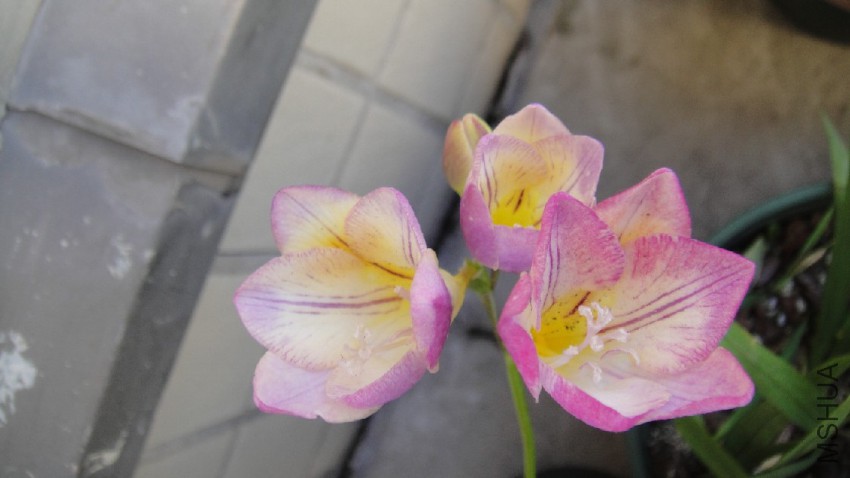 DSC09503.JPG