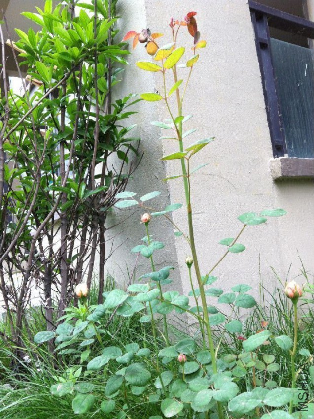 20150423141814.jpg