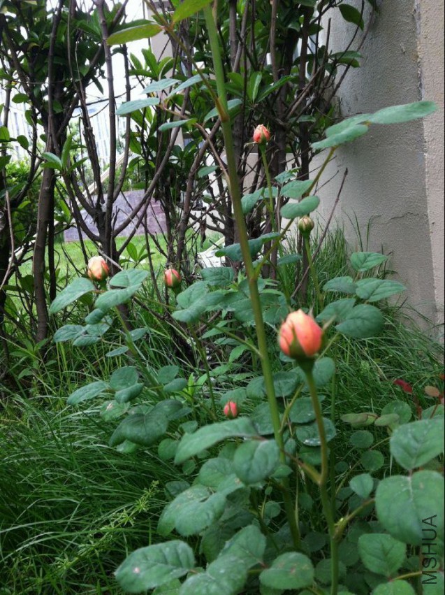 20150423141855.jpg