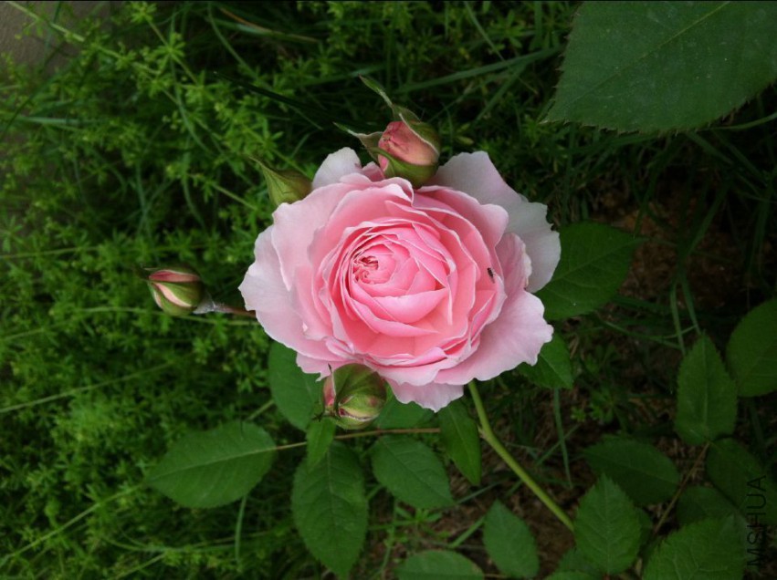 20150423141747.jpg