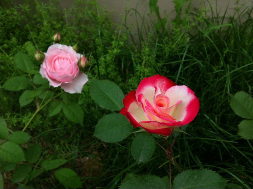 20150423141718.jpg