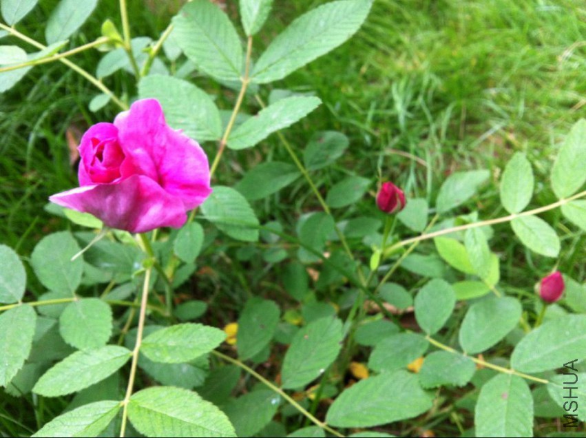 20150423141804.jpg