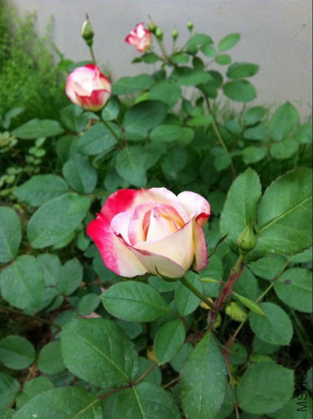 20150423141825.jpg