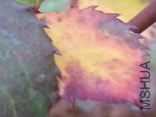 2015-04-23 18.22.38.png