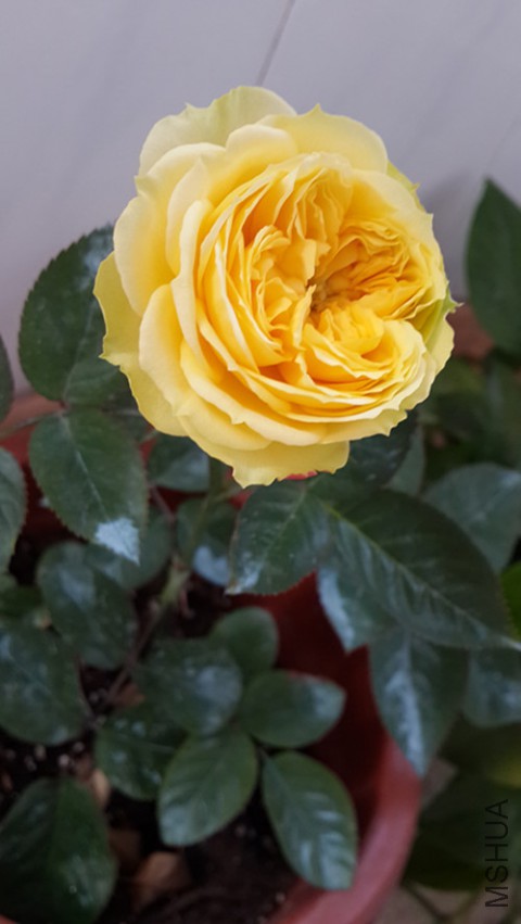 20150422_072711_����.jpg