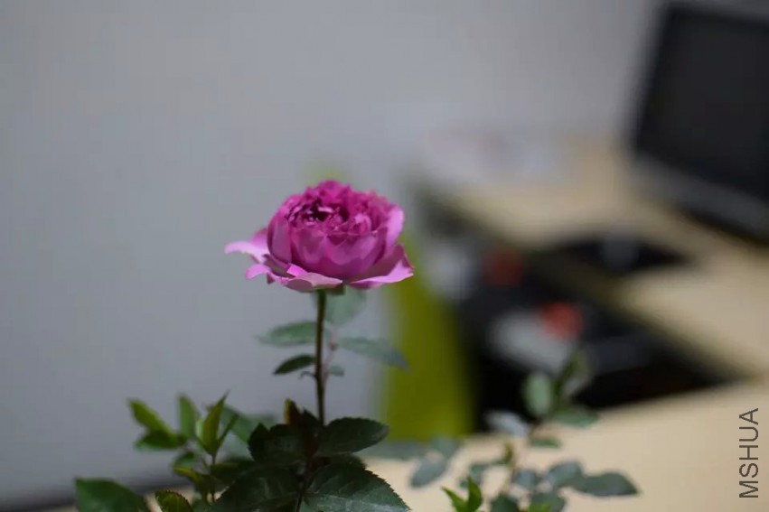 ������������ǿţ����쿪�Ļ��������ĵģ��ɰ�����