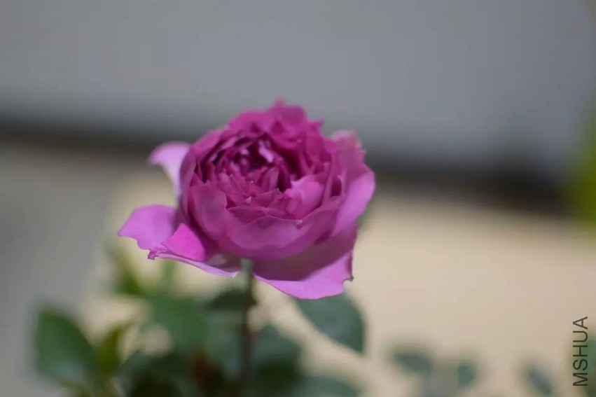 ������������ǿţ����쿪�Ļ��������ĵģ��ɰ�����