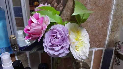 20150423_203800_LLS.jpg