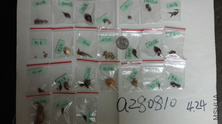 QQͼƬ20150424080858.jpg