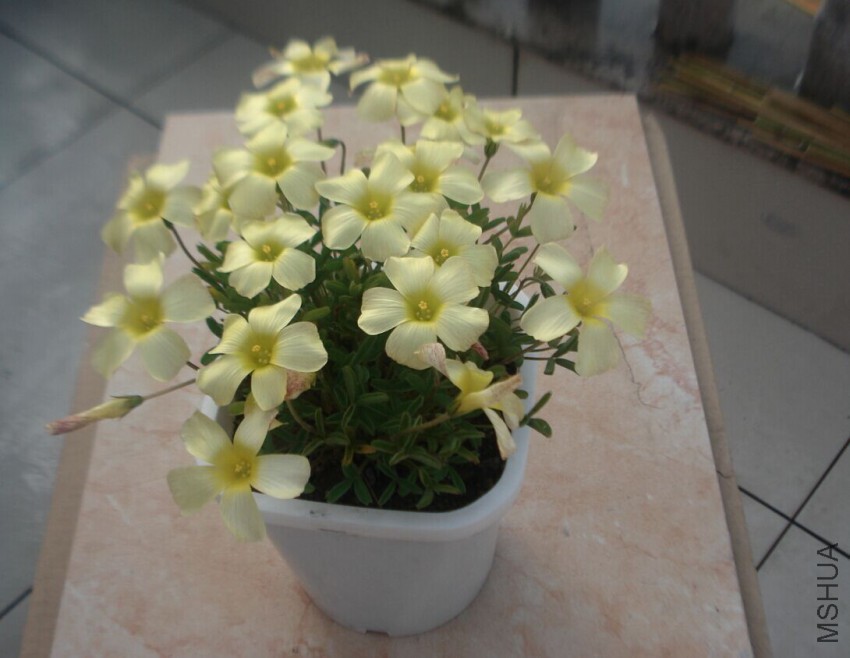 QQͼƬ20150424081447.jpg