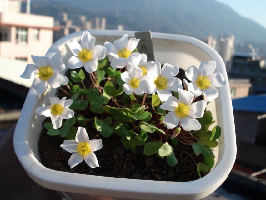 QQͼƬ20150424081509.jpg