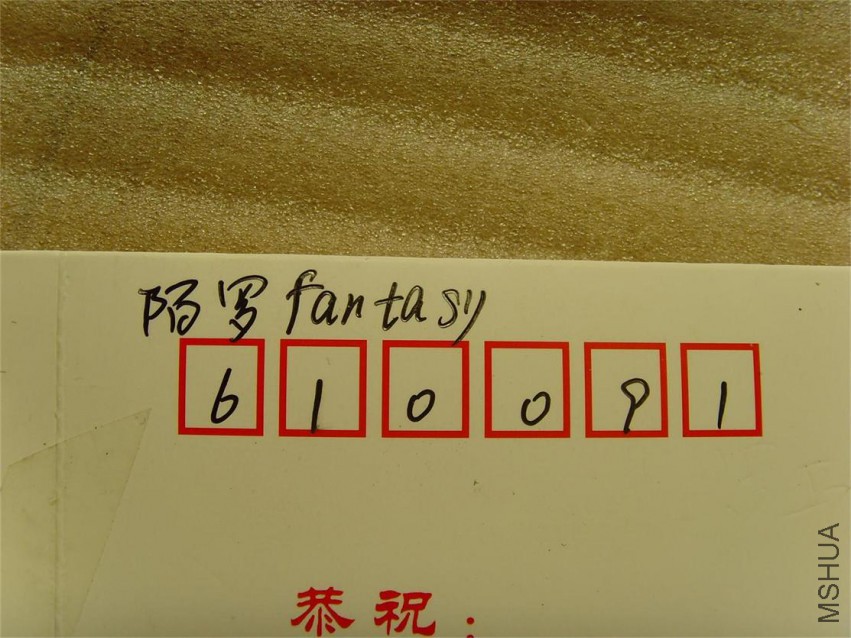 SNV38286.JPG