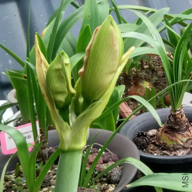 QQͼƬ20150424085042.jpg