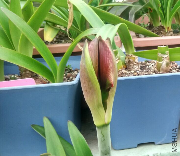 QQͼƬ20150424085102.jpg
