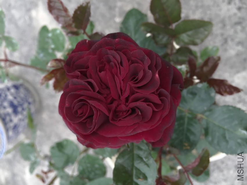 ˹٤��0424-2.jpg