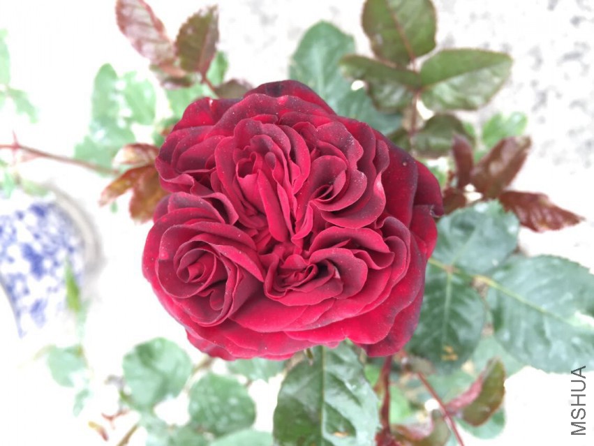 ˹٤��0424.jpg
