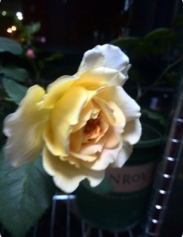 QQ��ͼ20150424143640.png