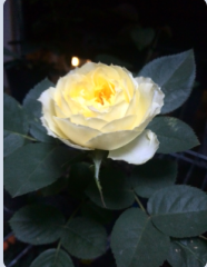 QQ��ͼ20150424143553.png