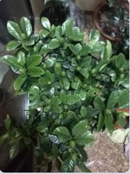 QQ��ͼ20150424163402.png
