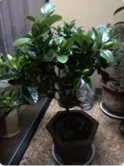 QQ��ͼ20150424163354.png