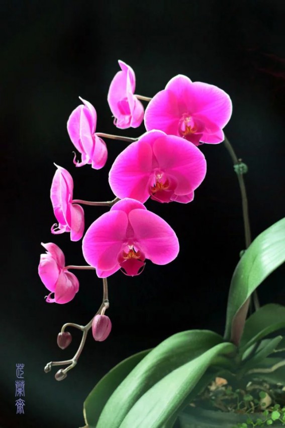 psb (20).jpg