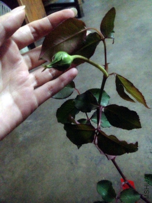 4��10�� �ո��յ�ʱ_����.jpg
