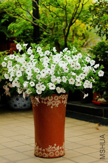 a (1)_����.jpg