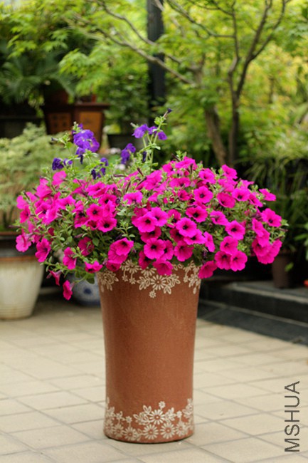 a (2)_����.jpg