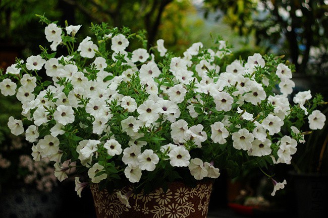 a (3)_����.jpg