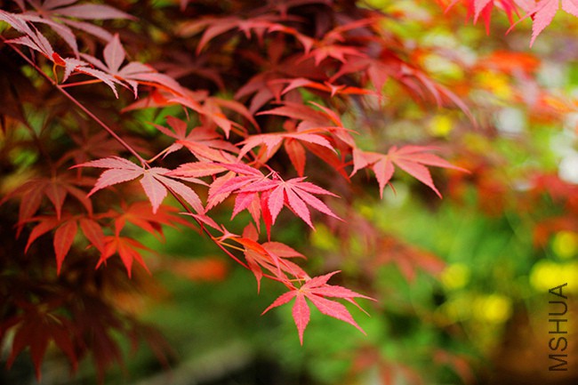 a (5)_����.jpg