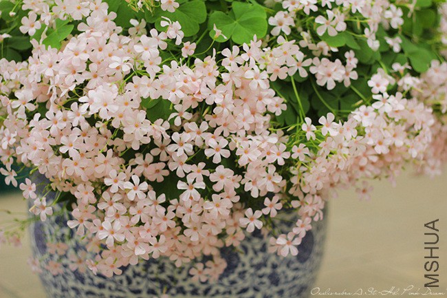 a (9)_����.jpg