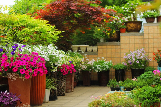 a (10)_����.jpg