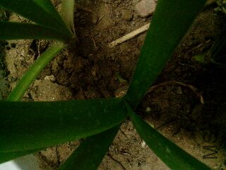UC_Photo_002.jpg
