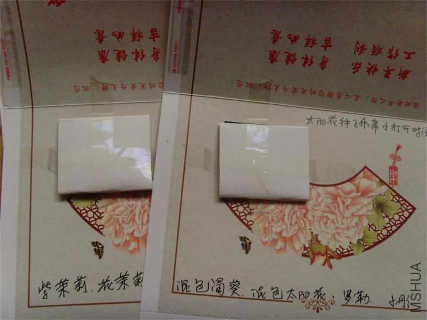 SNV38291.JPG
