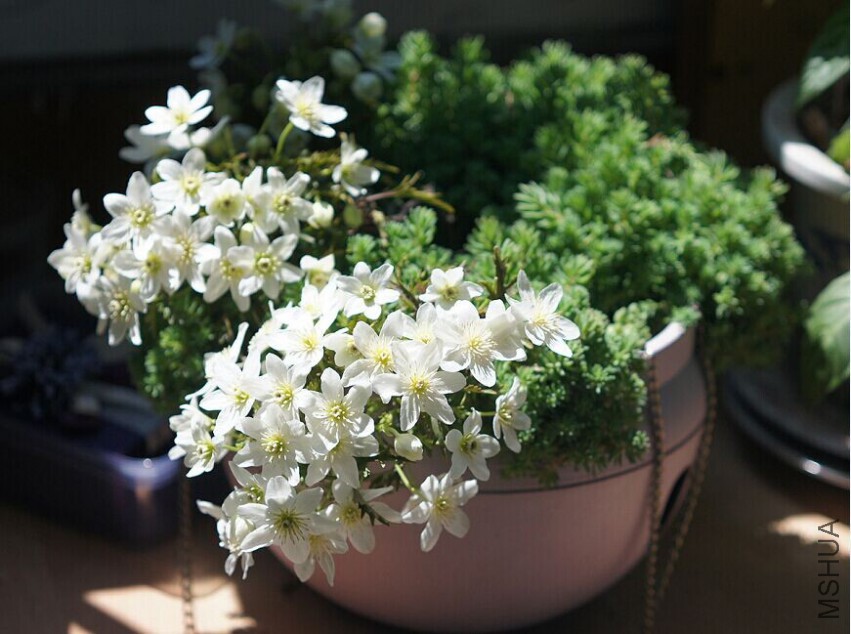 QQͼƬ20150425093845.jpg
