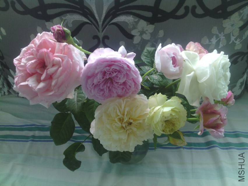 QQͼƬ20150425134420.jpg
