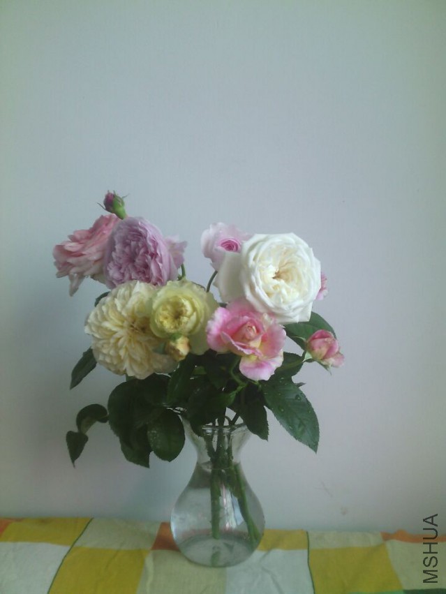 QQͼƬ20150425134408.jpg