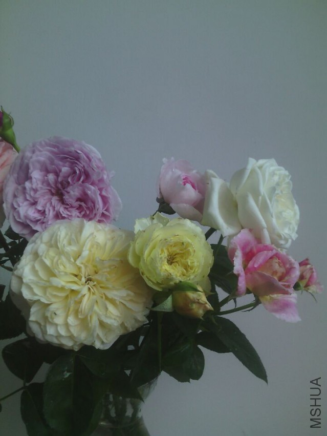 QQͼƬ20150425134352.jpg