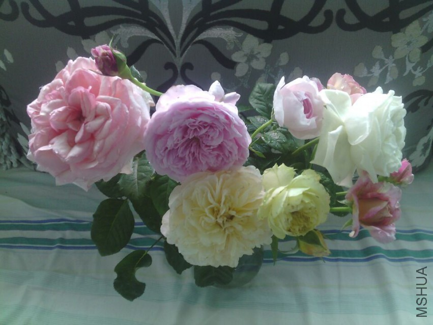 QQͼƬ20150425134340.jpg