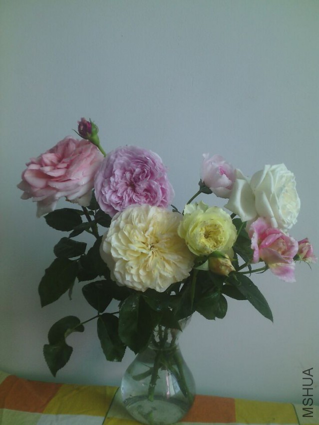 QQͼƬ20150425134333.jpg