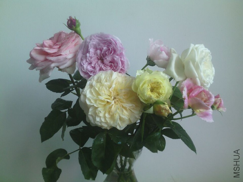 QQͼƬ20150425134326.jpg