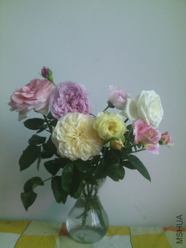QQͼƬ20150425134315.jpg