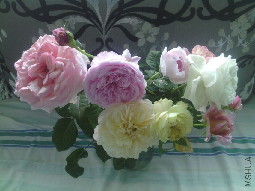 QQͼƬ20150425134304.jpg