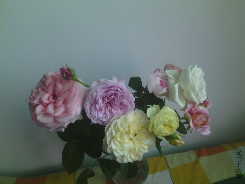 QQͼƬ20150425134300.jpg