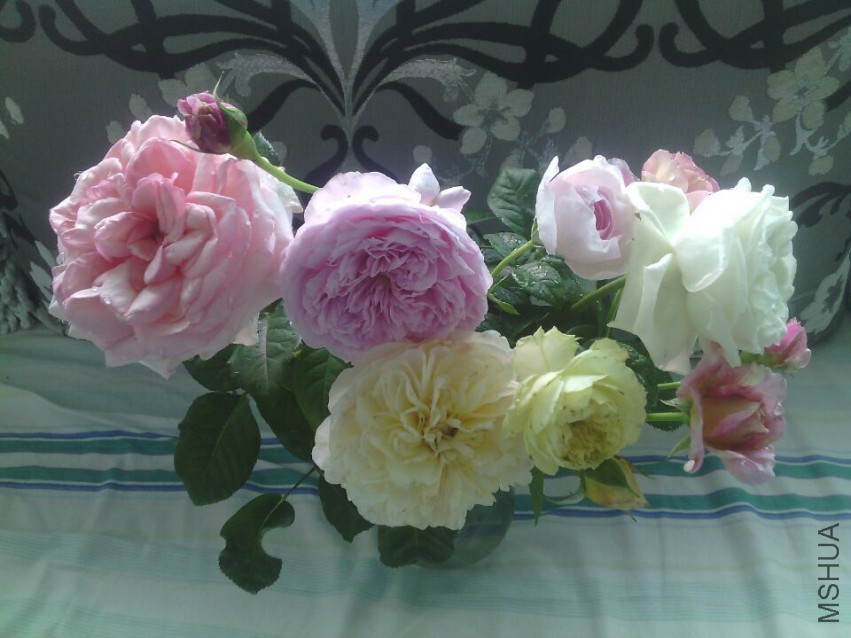 QQͼƬ20150425134255.jpg