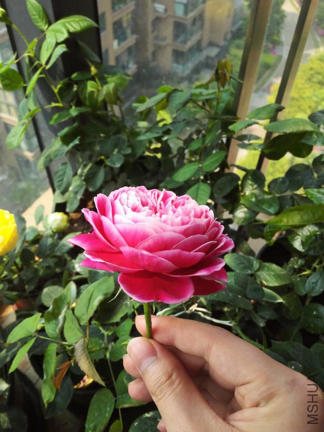IMG_20150425_101318.jpg