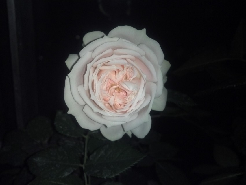 2014-05-22_20-43-20_400.jpg